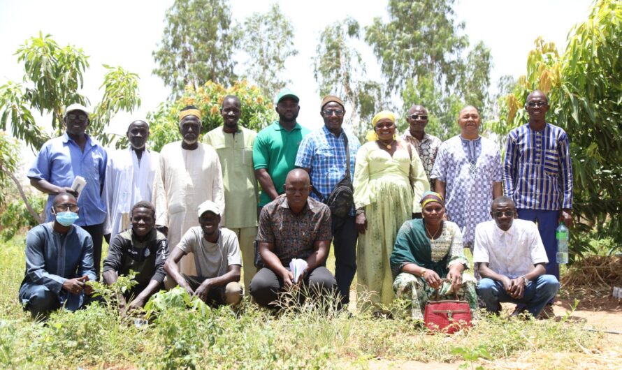 Des paysans innovateurs du Burkina Faso et du Sénégal unissent leurs expériences pour une gestion durable de l’eau au Sahel